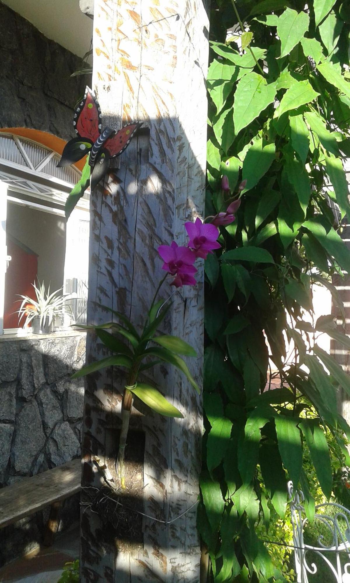 Hotel Pouso Mariazinha Tiradentes Esterno foto